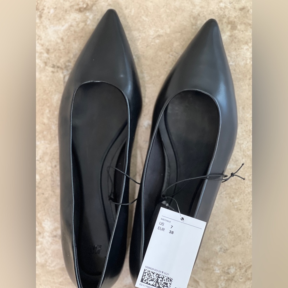 Pointed faux leather shoes. Brand new, runs big.